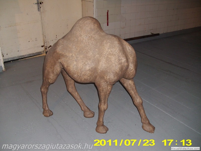 0050