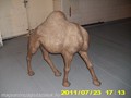0050